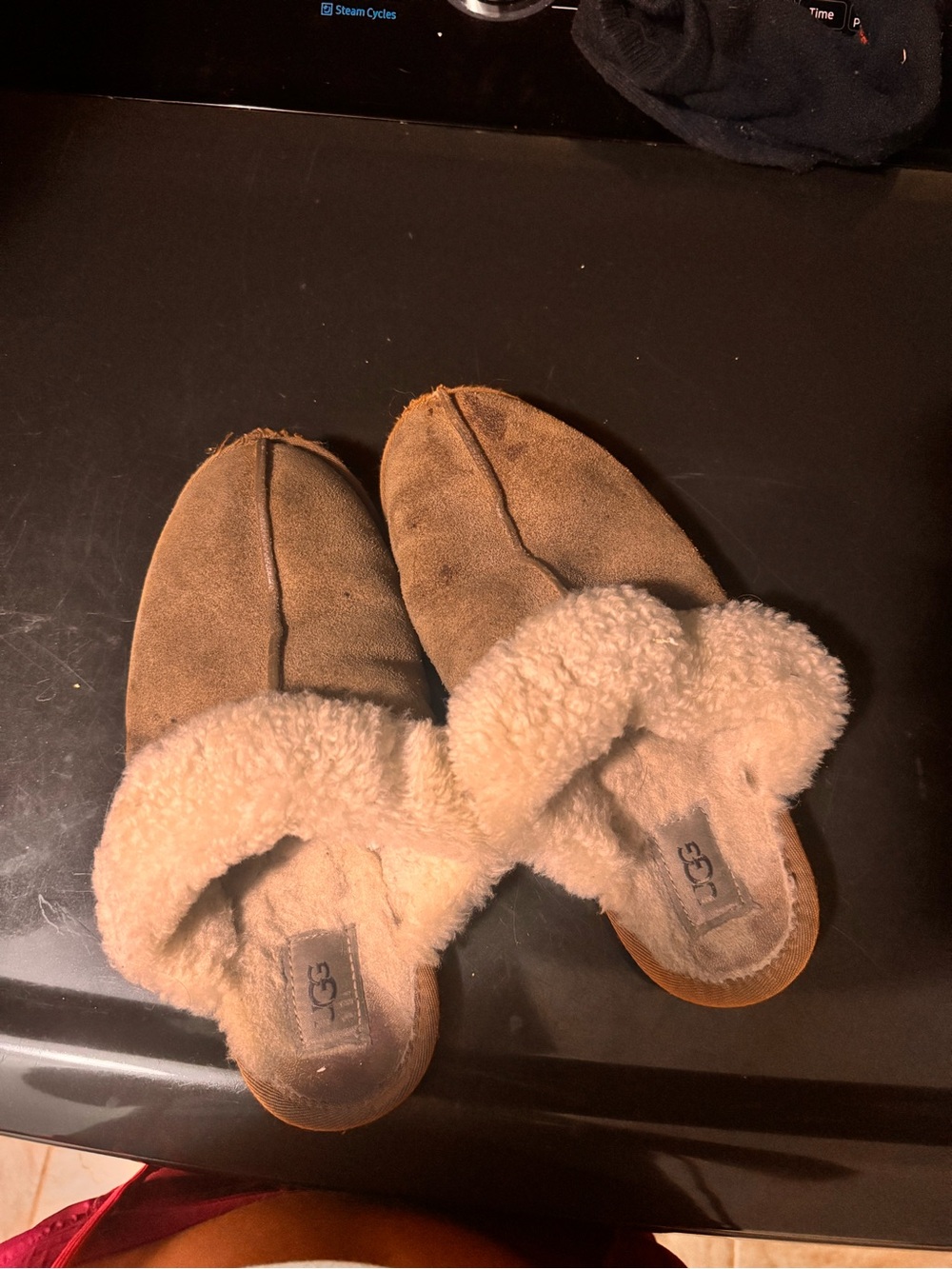 UGG Women's Chestnut Suede Slip-On Shearling Slippers